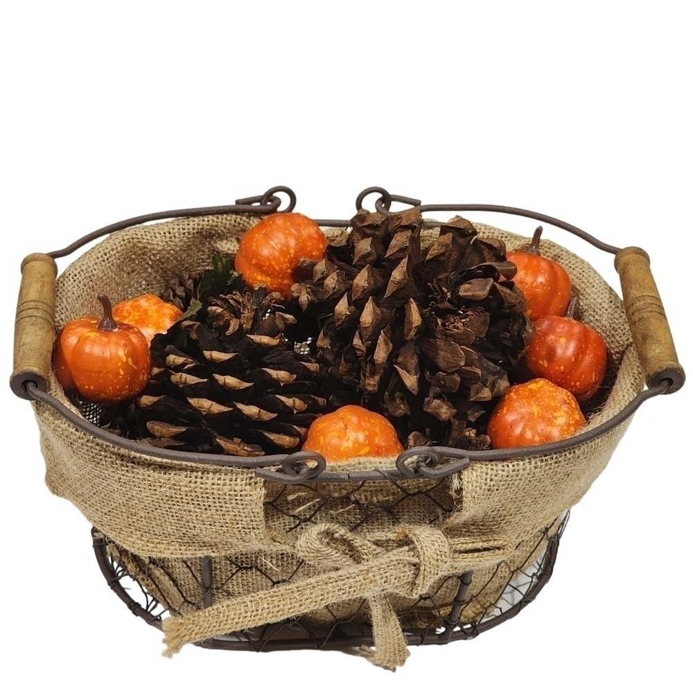Farmhouse Oval chicken wire 10" basket burlap liner fall pinecone pumpkin decor